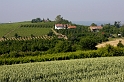 Piemont 2009  276